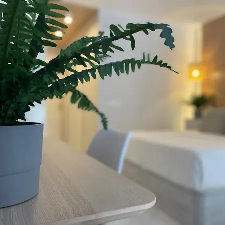 Apartamento Danubio 109